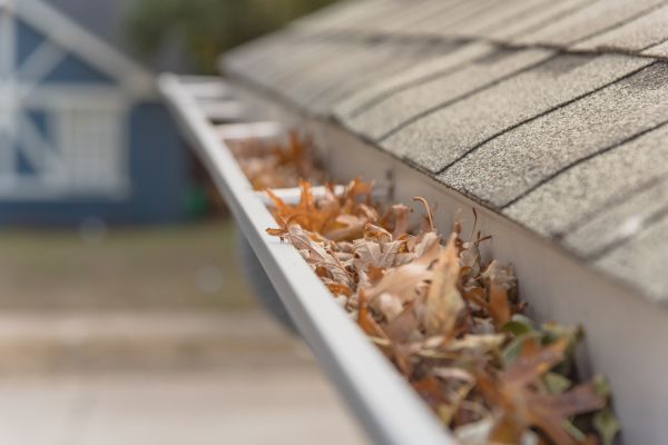 Leaf Barrier Installation in Simpsonville