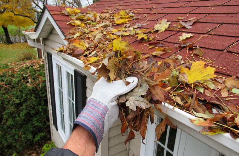 Fall Leaf Prevention